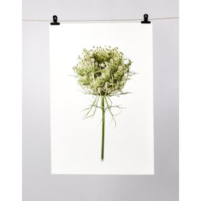 Fineartprint