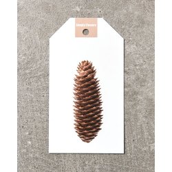 Julemotiv 1