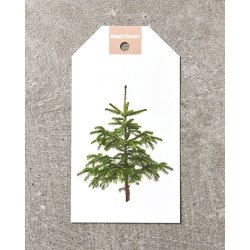 Julemotiv 3