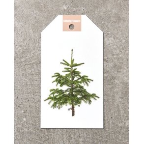 Julemotiv 3