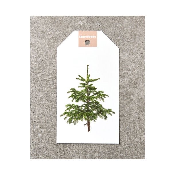 Julemotiv 3
