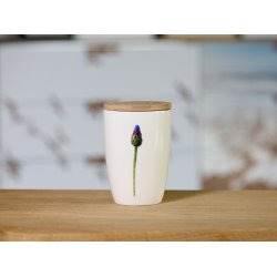 Nr. 15: Kornblomst