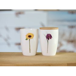 Nr. 22: Solsikke