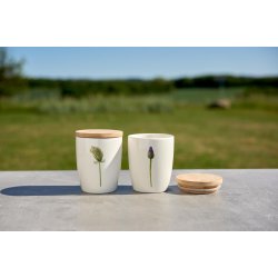 Nr. 16: Vild Gulerod