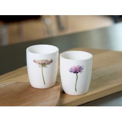 Nr. 16: Vild Gulerod