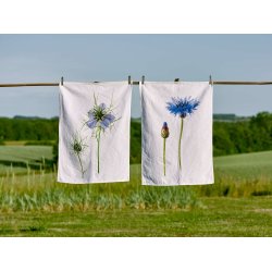 Nr. 15: Kornblomst