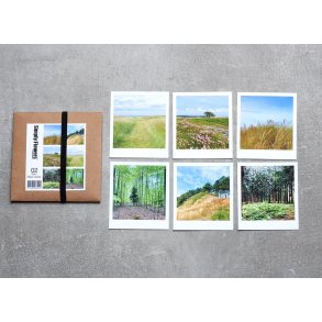 Mini Nicecards s�t 02