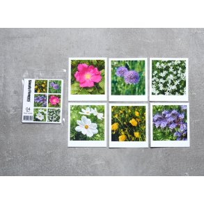 Mini Nicecards s�t 04