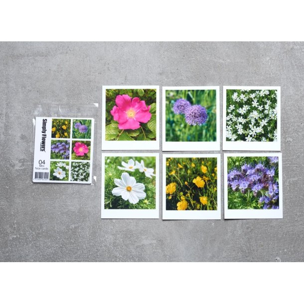 Mini Nicecards s�t 04