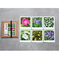 Mini Nicecards s�t 04