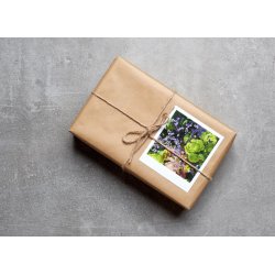 Mini Nicecards s�t 05