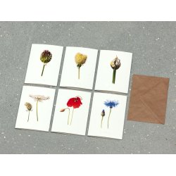 Nr. 06: R�dkl�ver