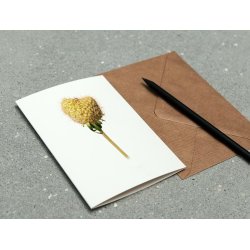 Nr. 08: Marguerit