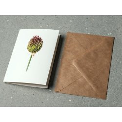 Nr. 20: Bl�hat