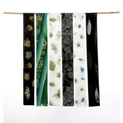 "Palmeblade" Crepe de chine t�rkl�de